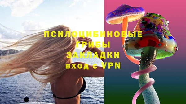 ПСИЛОЦИБИНОВЫЕ ГРИБЫ Куйбышев