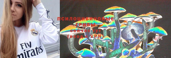 ПСИЛОЦИБИНОВЫЕ ГРИБЫ Куйбышев