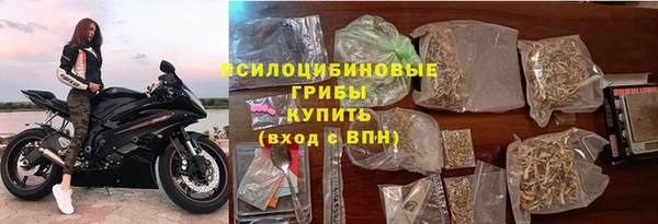 ПСИЛОЦИБИНОВЫЕ ГРИБЫ Куйбышев