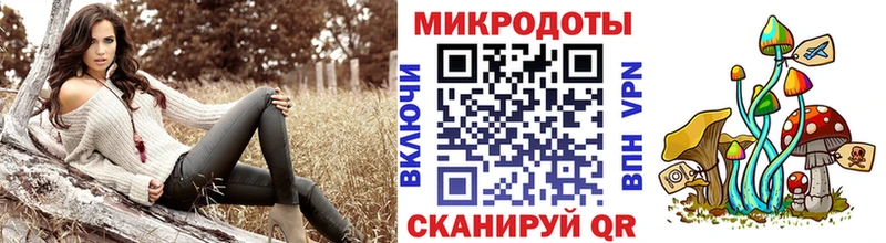 Галлюциногенные грибы Psilocybine cubensis  Купить  Канаш 