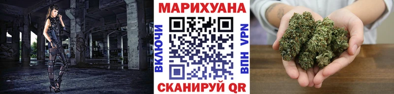 Купить где  Канаш  Каннабис индика 